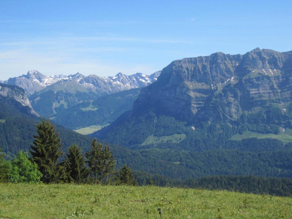 Apart Greber Andelsbuch Exteriör bild